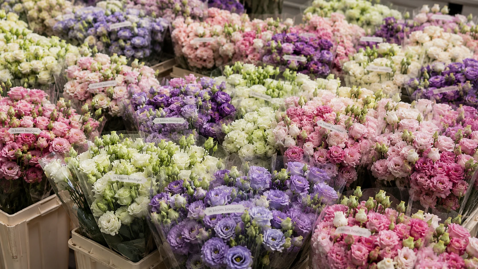 Онлайн витрина inBloom